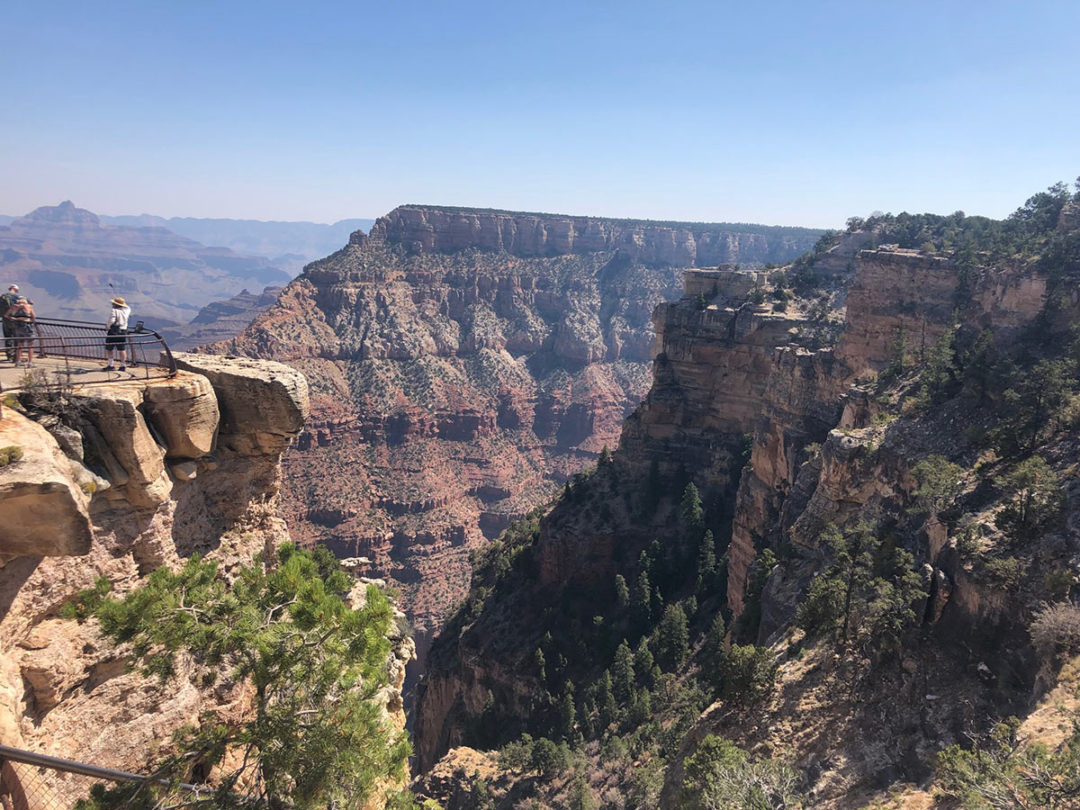 Whether North Rim or South Rim, life is grand in the Grand Canyon