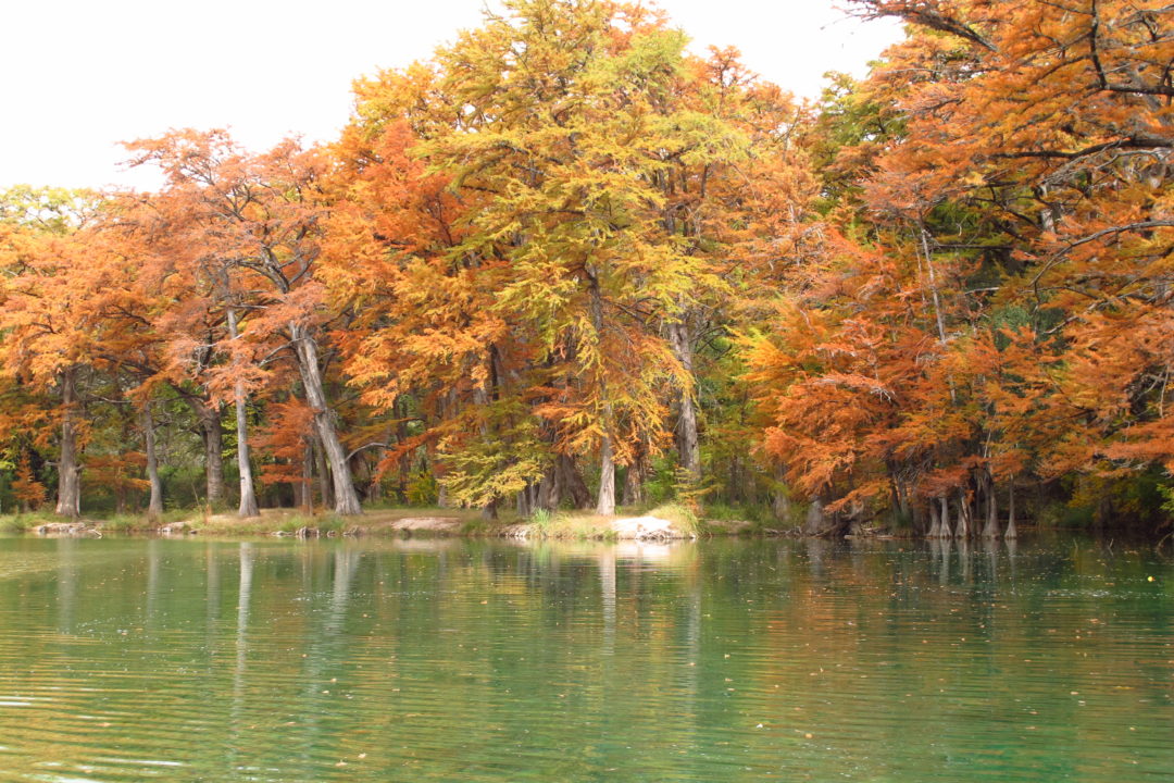 Go to Garner this fall for the Frio, foliage and family fun