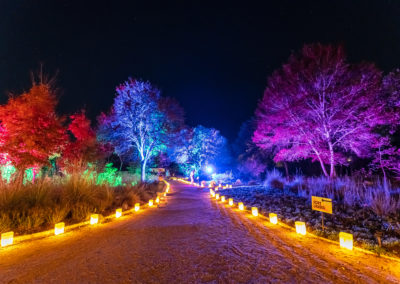 January Festivals: Top 10 Texas events this month
