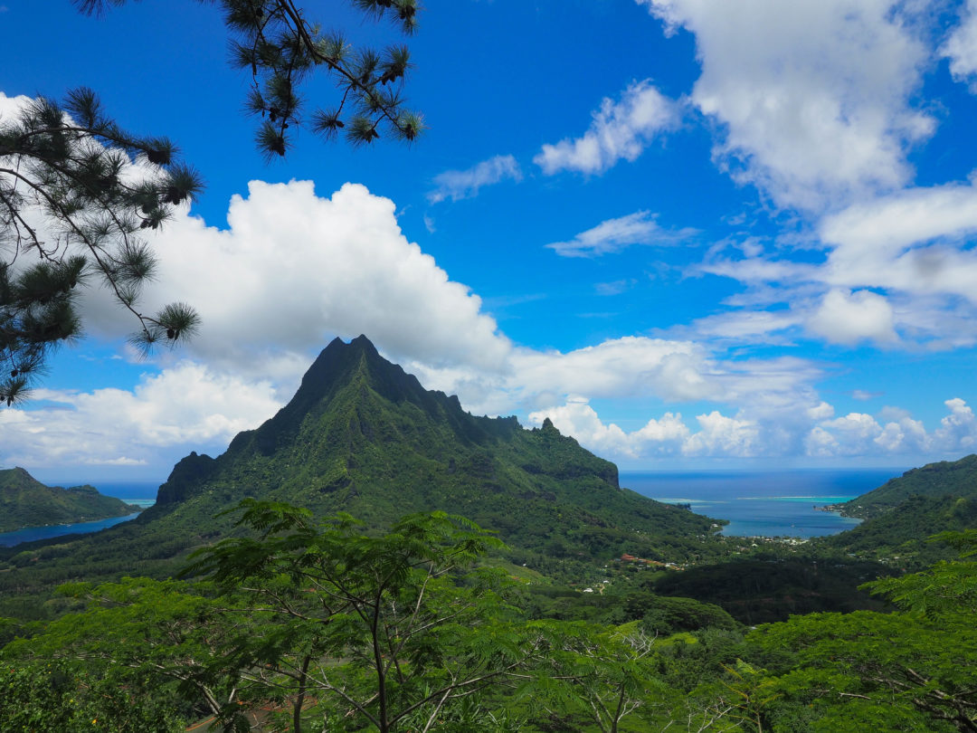 Hiking and Swinging through French Polynesian Paradise