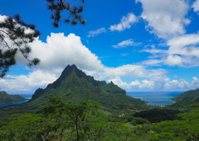 Hiking and Swinging through French Polynesian Paradise