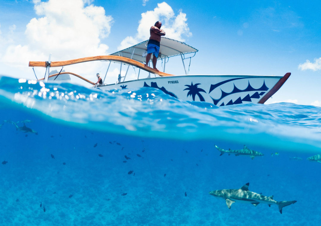 Diving into French Polynesia