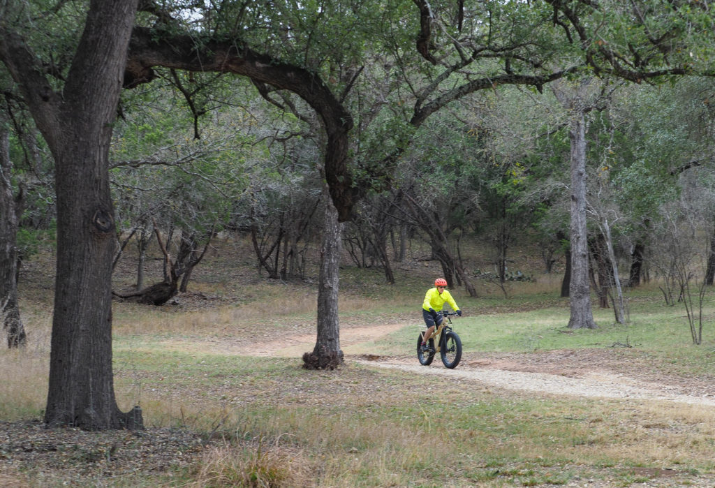 electric fat bike