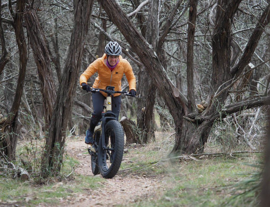 electric fat bikes