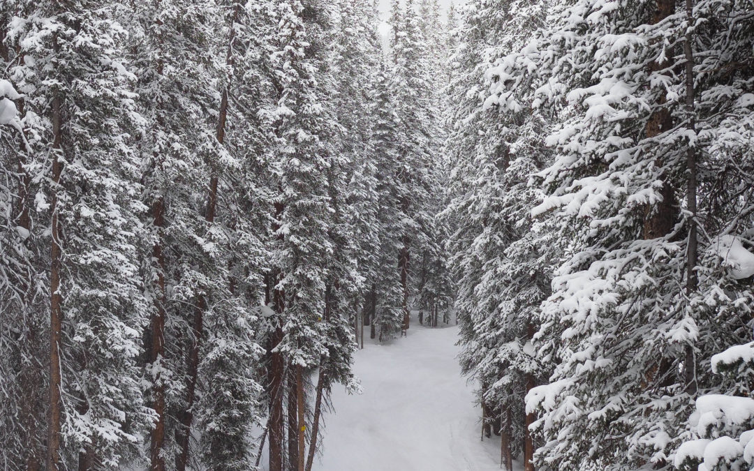 The ultimate ski season perk? A CSCUSA Gold Pass to share with friends