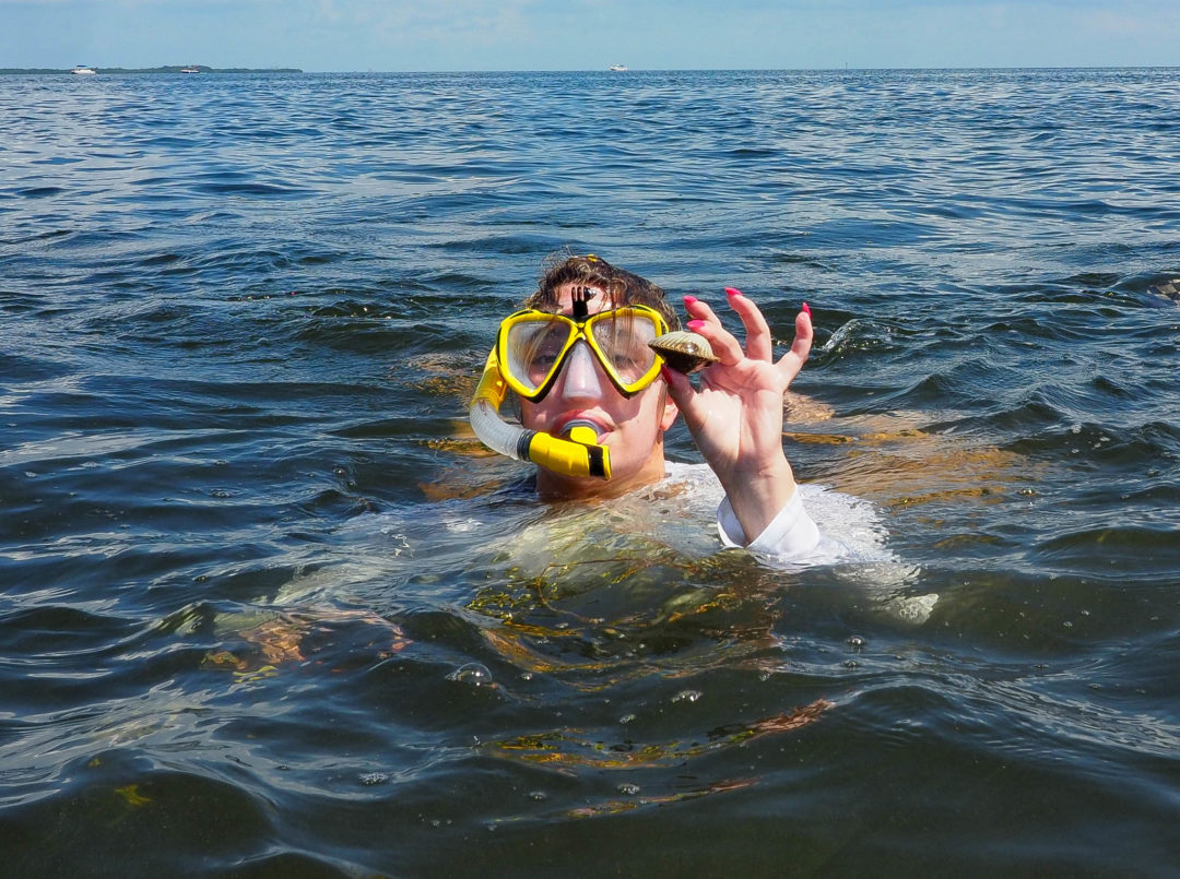 Scalloping, saltwater springs and seashell strolls on Florida’s Sports Coast