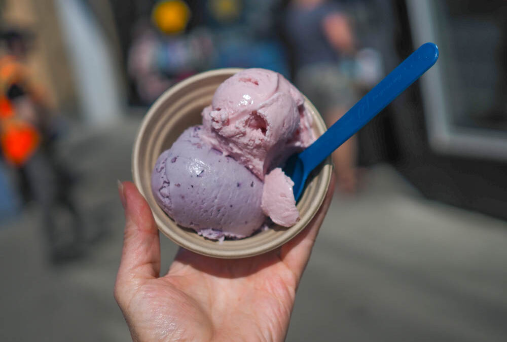 Taste fireweed and spruce tips at this fantastic Alaskan ice cream shop