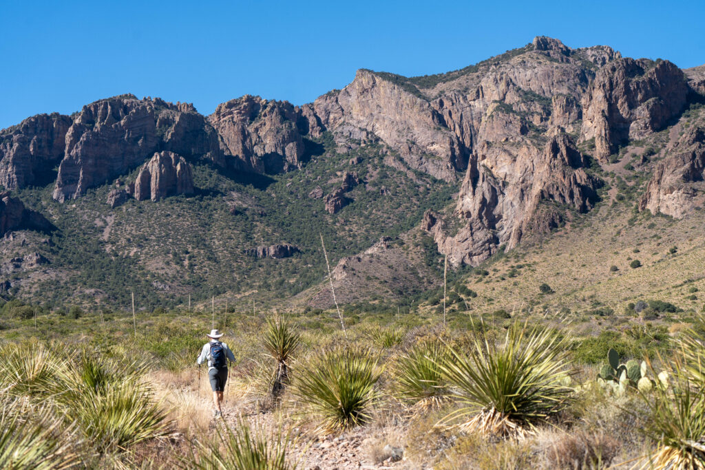 Chisos Basin closure