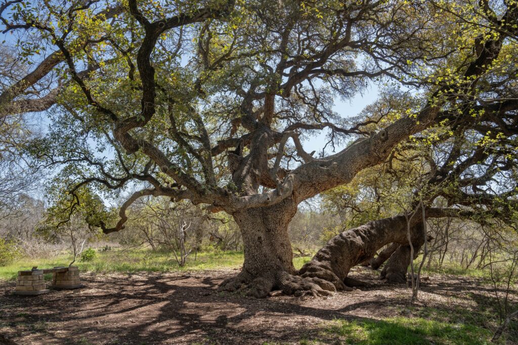 Austin hiking trails