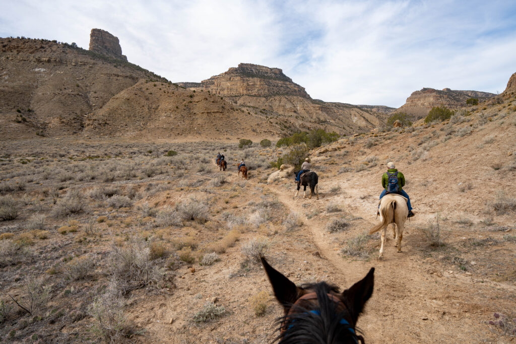 Palisade, Colorado