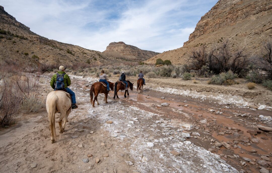 Palisade wants you to know there’s more to Colorado than the Front Range
