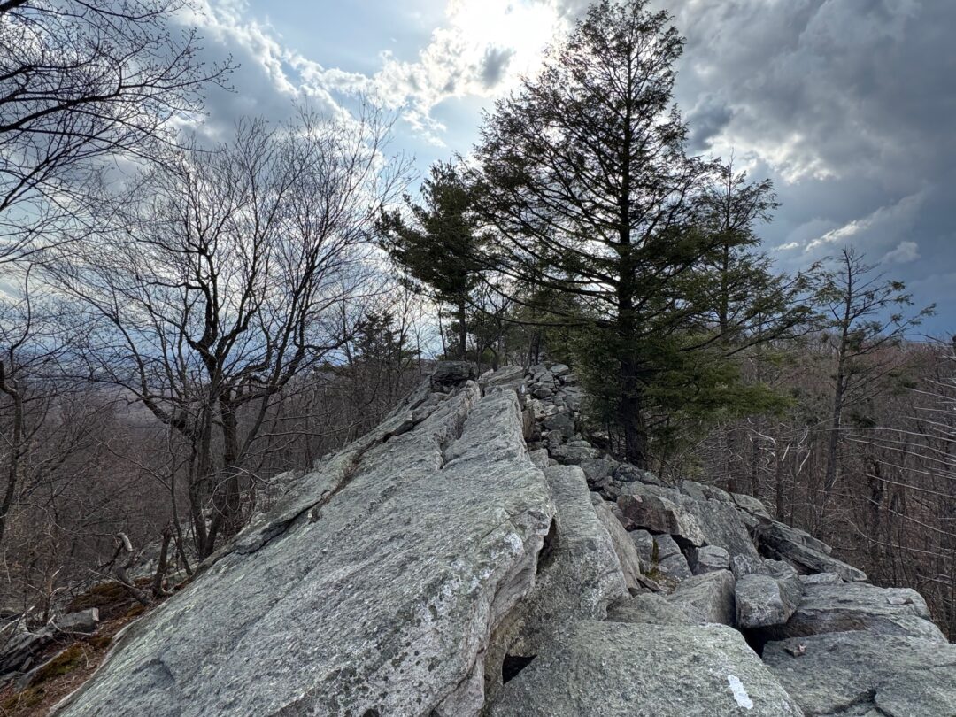 Grief and growth (and a black eye) on Pennsylvania’s Appalachian Trail