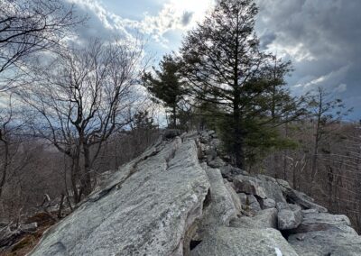 Grief and growth (and a black eye) on Pennsylvania’s Appalachian Trail