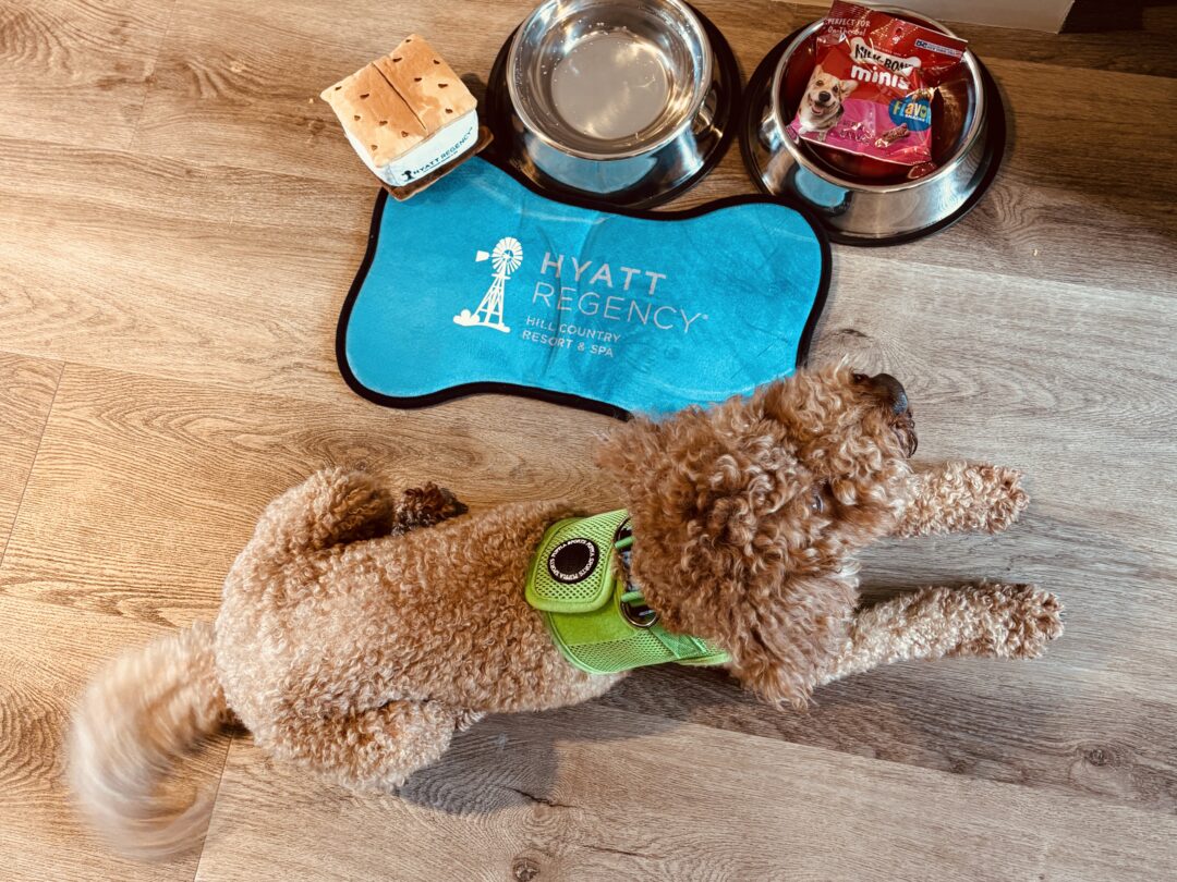 Stay in a new villa and bring along the dog at Hyatt Regency Hill Country