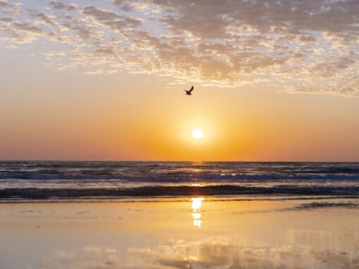 Five family-friendly reasons to go the distance to South Padre Island