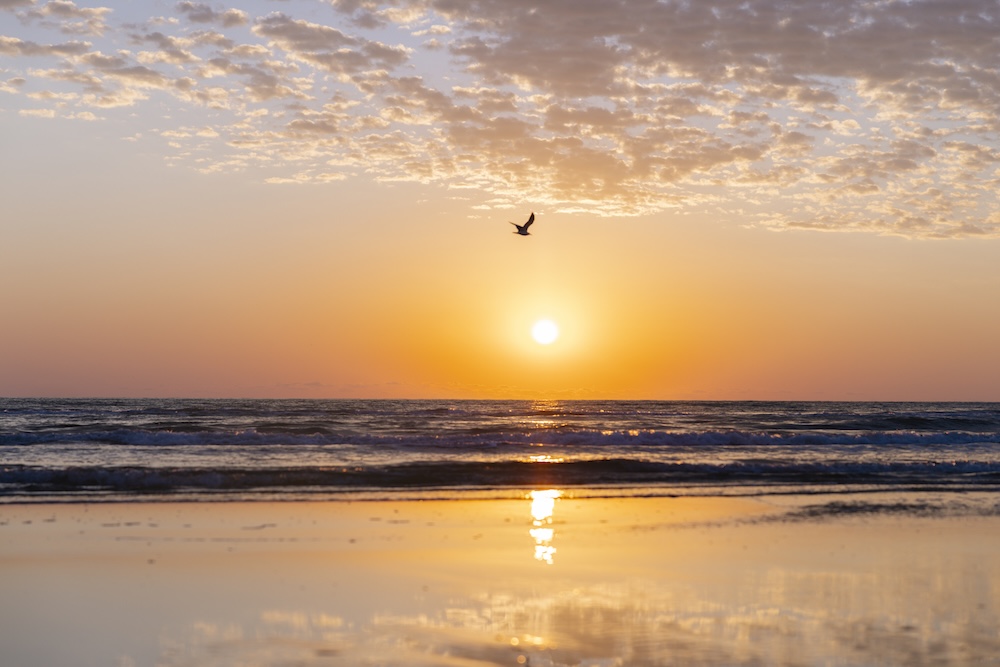 Five family-friendly reasons to go the distance to South Padre Island