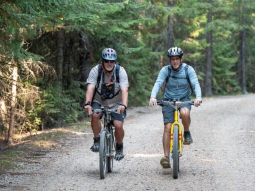 In the Idaho Panhandle, trails lead over trestles, through tunnels and into trees