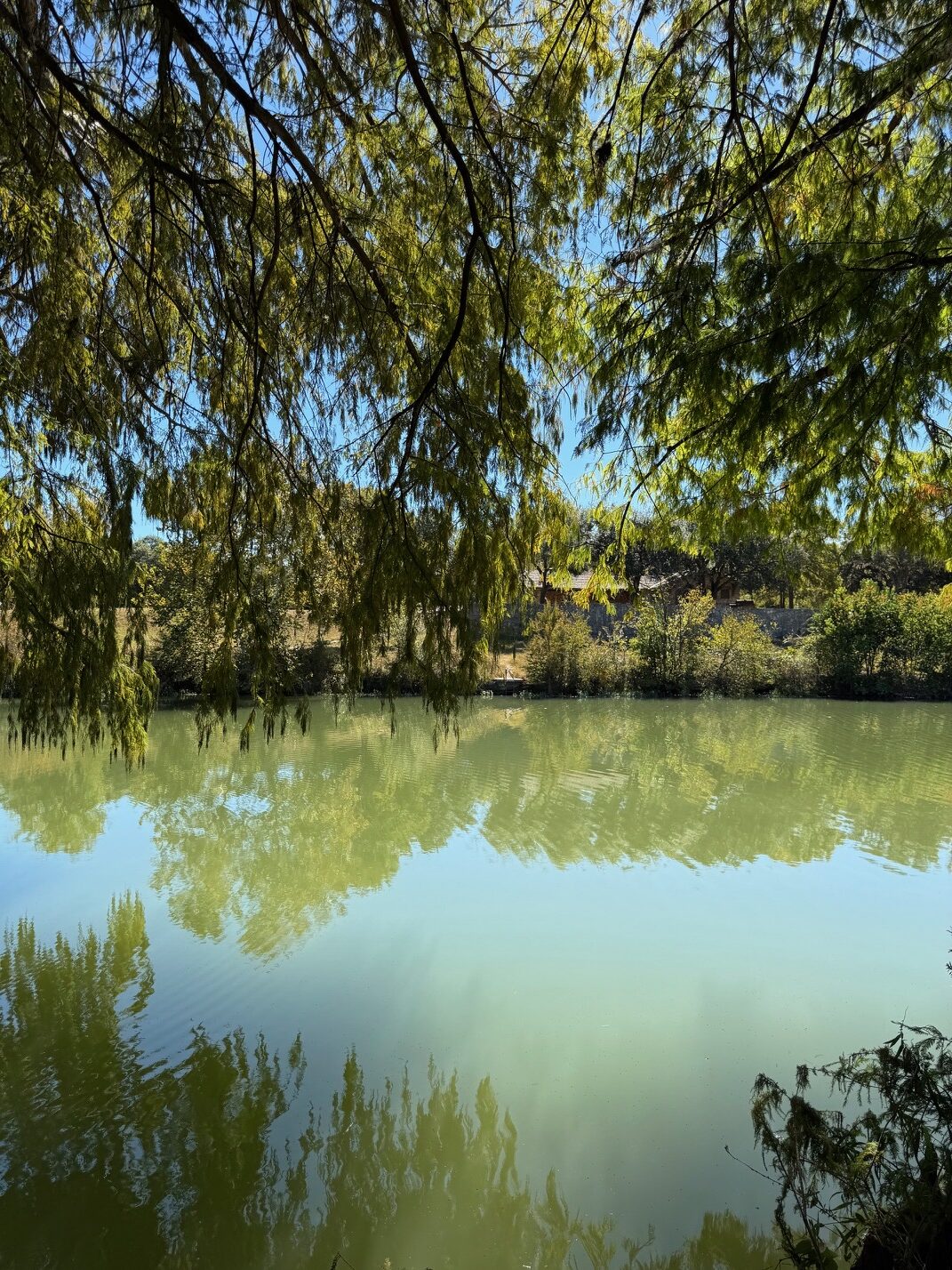 Beer, natural beauty, and bliss in Blanco