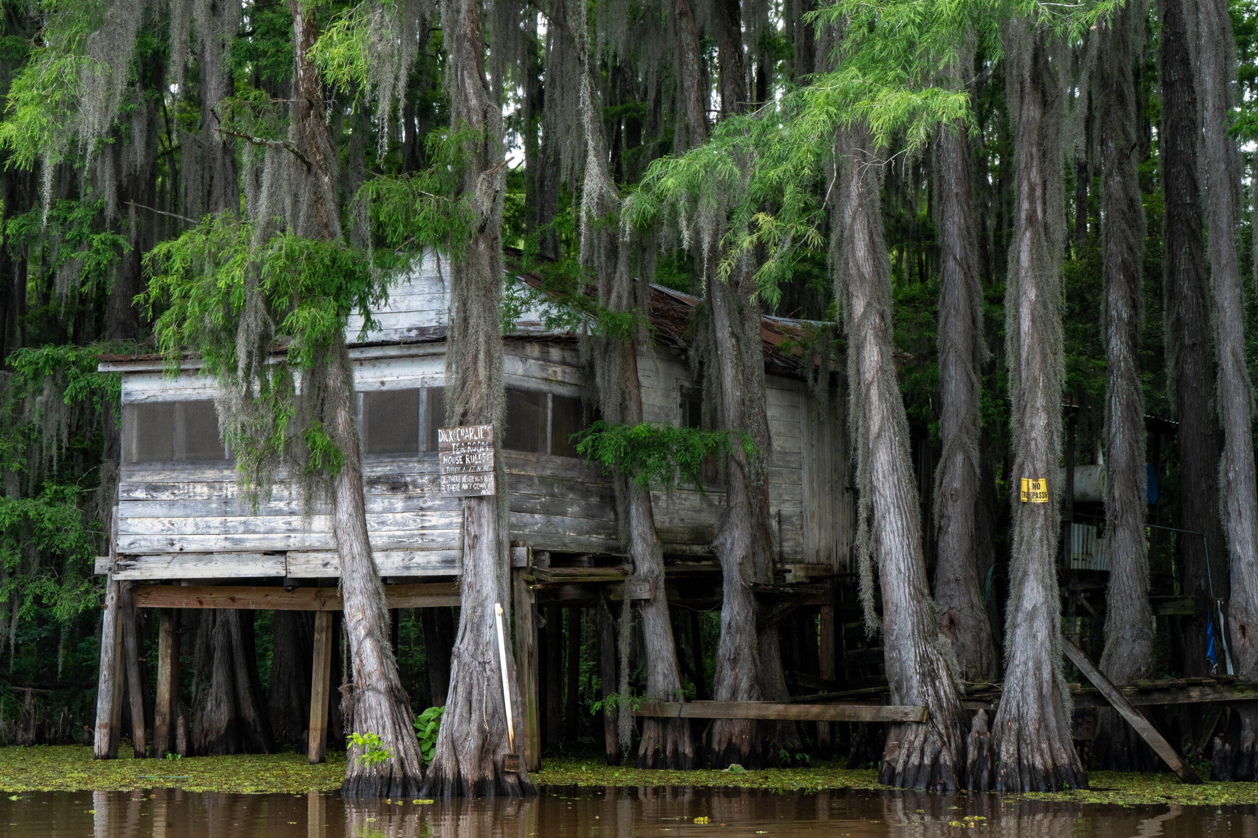 Caddo Lake