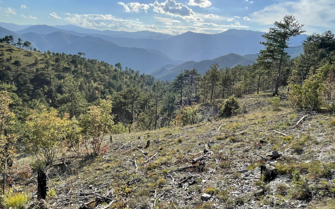 On Memorial Day, writer reflects on trip to Macedonia that brought her closer to her grandfather